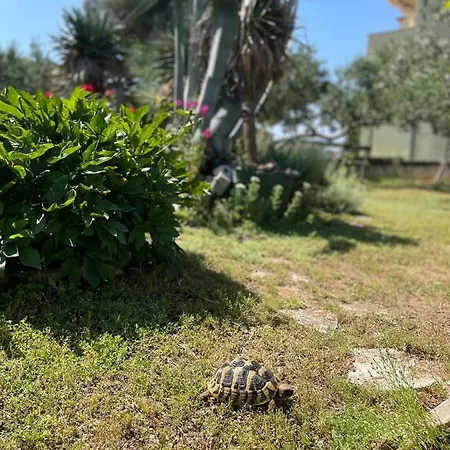 Mare I Kate Apartamento *