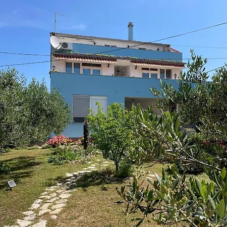 Mare I Kate * Tribalj