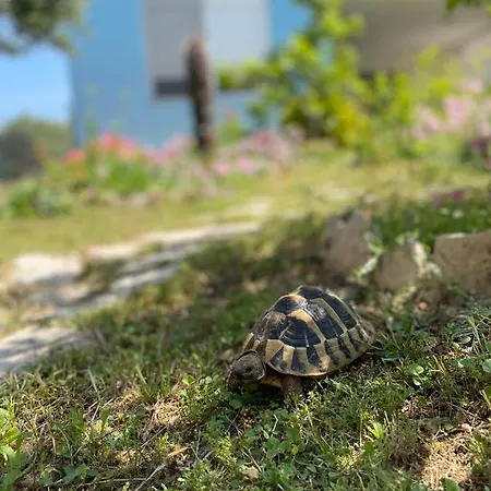 Apartamento Mare I Kate