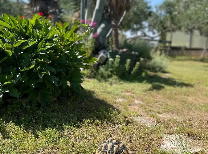 Mare I Kate דירה *