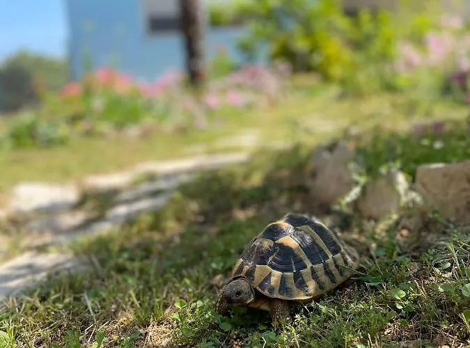 דירה Mare I Kate